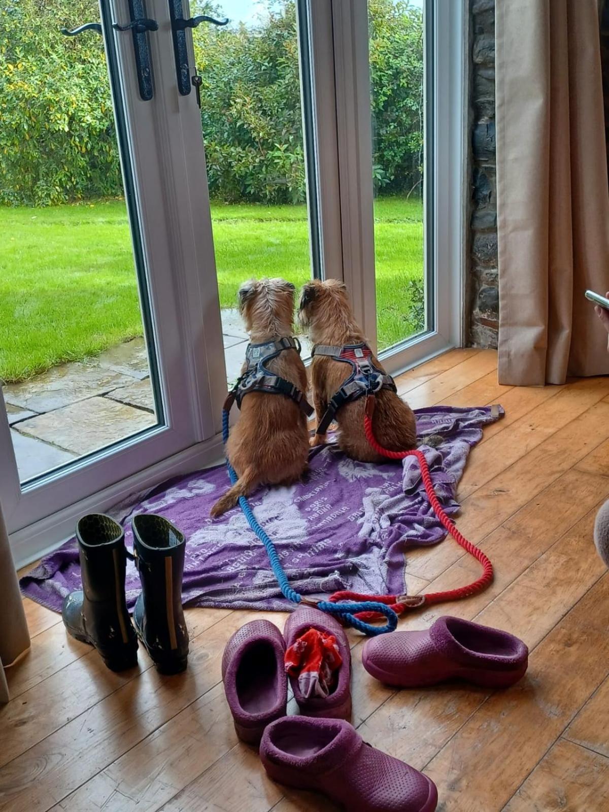 Pippin Lodge Llanwrda Extérieur photo